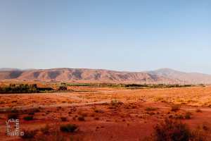 زراعة الحبوب في الأراضي الشاسعة لجبل عيسى