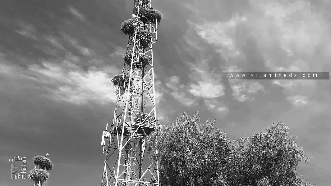 Mélodie fébrile (Poème)