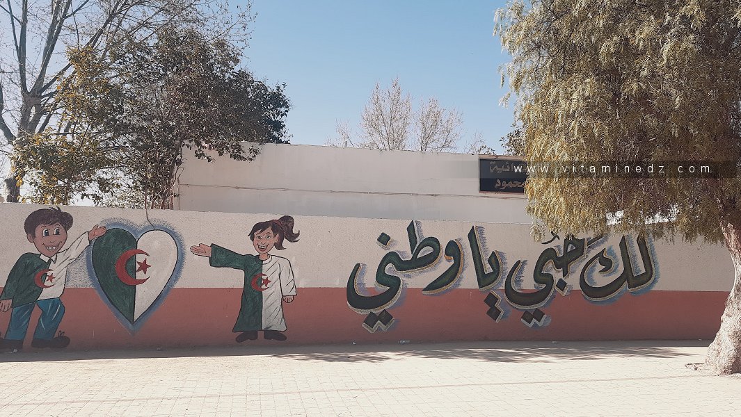 Ecole Abaji (Abou Tachefine, Tlemcen)
