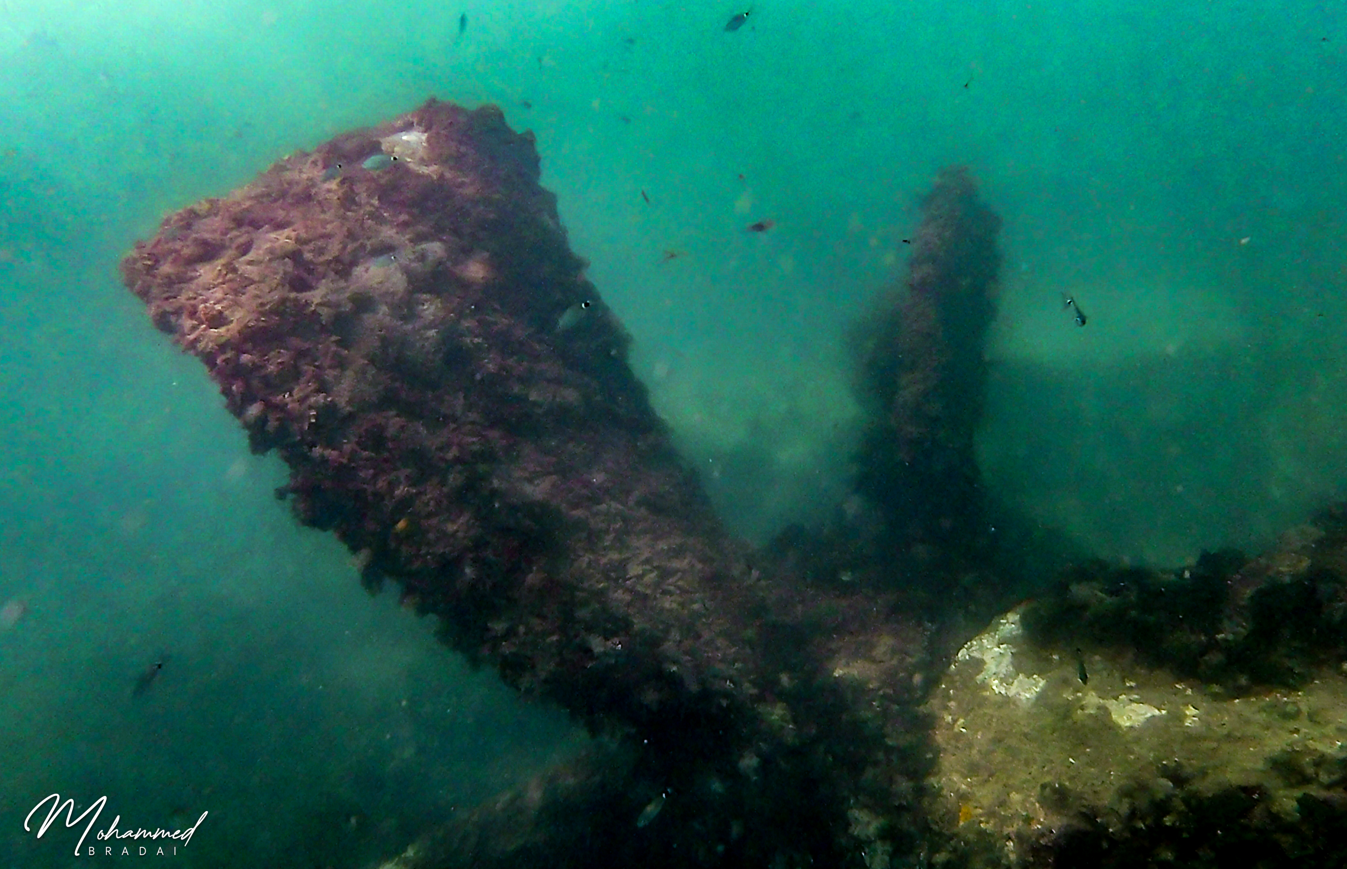 L'épave de MV Astipalaia {+1979]