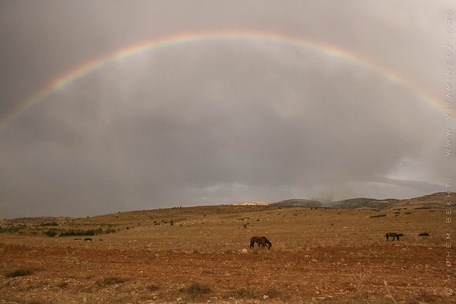 Au détour de chemins perdus ...