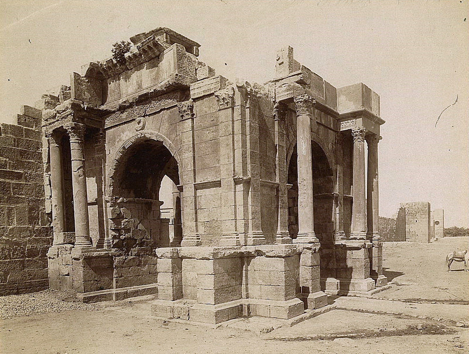 La principale porte ce thevest avait été ménagée dans l’arc de Caracalla