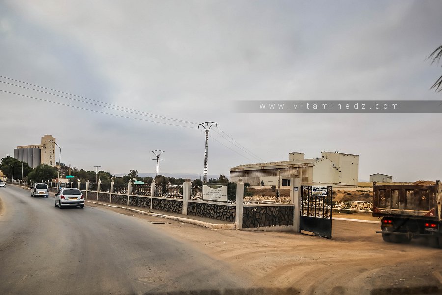 Cimetière musulman de Oued Tlelat
