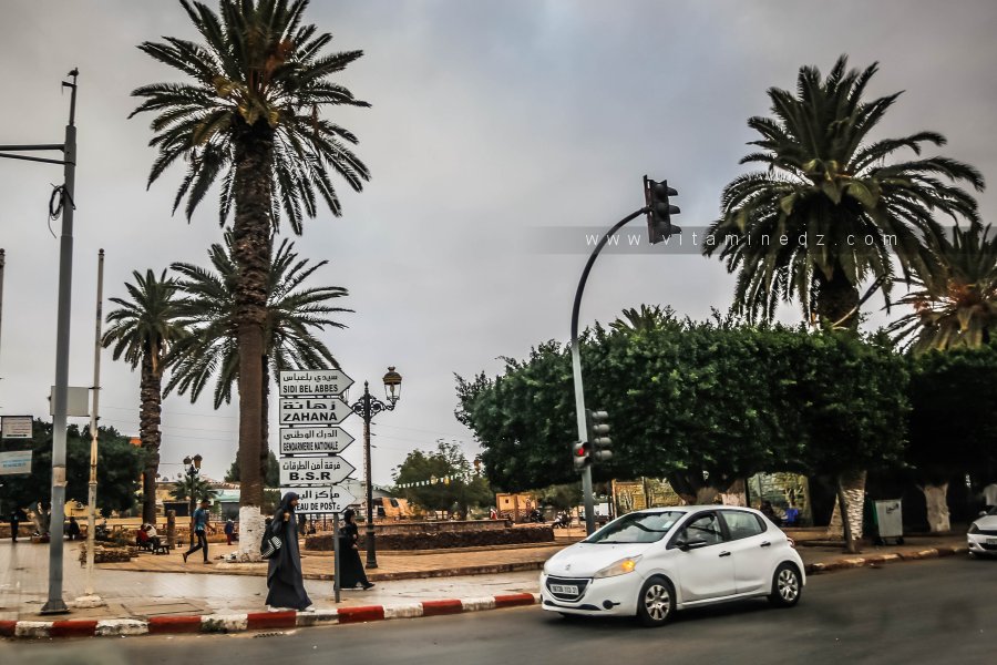 Placette de Oued Tlelat