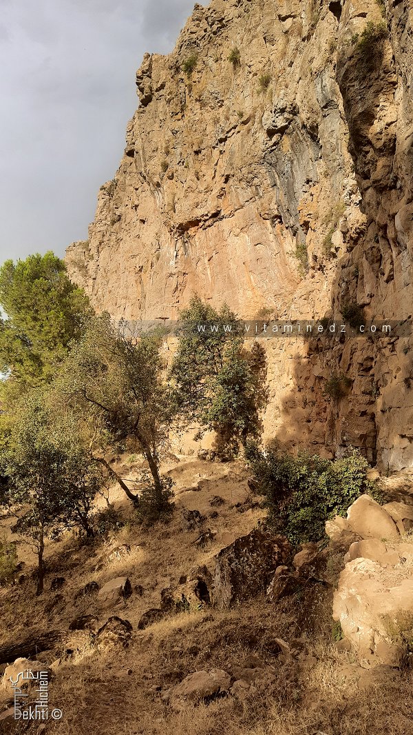 Fôret de Tlemcen, falaises rocheuses et végétation