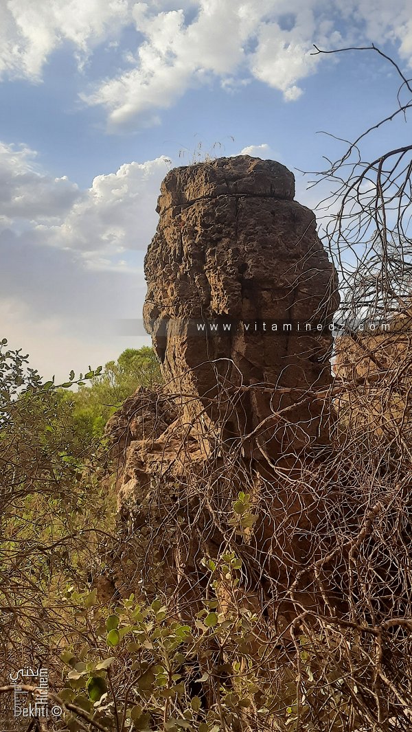 Fôret de Tlemcen, un Yardang