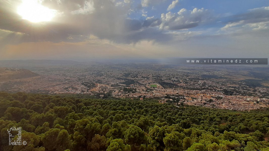 Fôret du petit perdreau, comme un manteau vert sur Tlemcen.