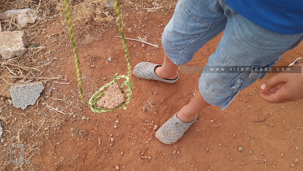 Lance-pierre en arabe il s’appelle mouglaa