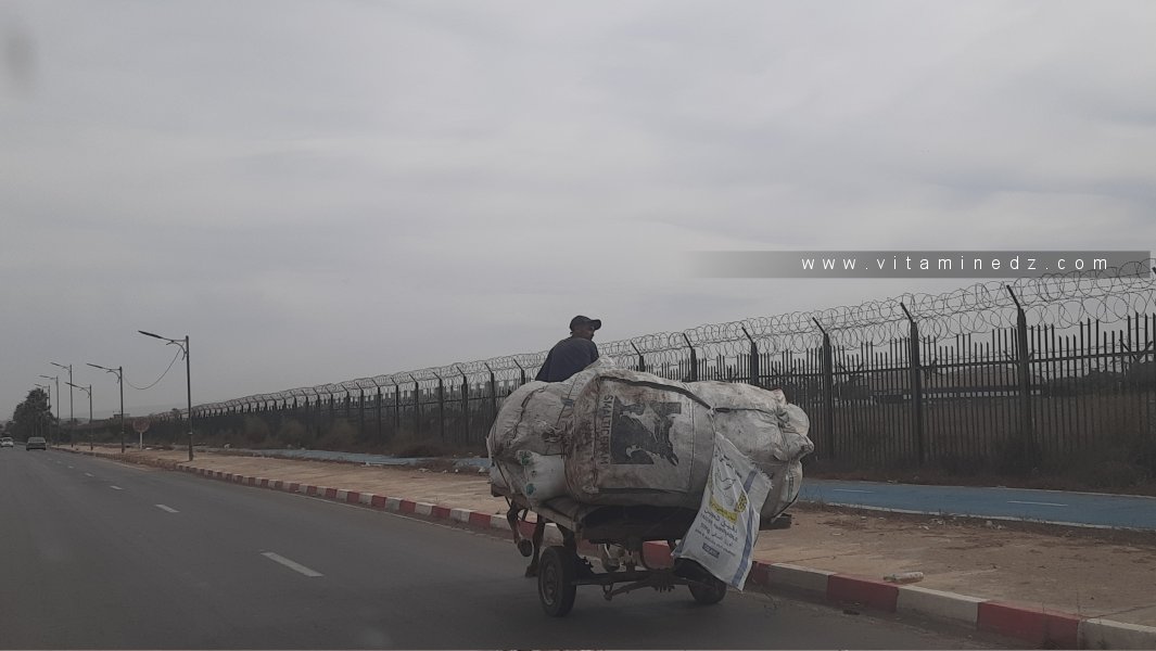 Les chiffonniers en Algérie