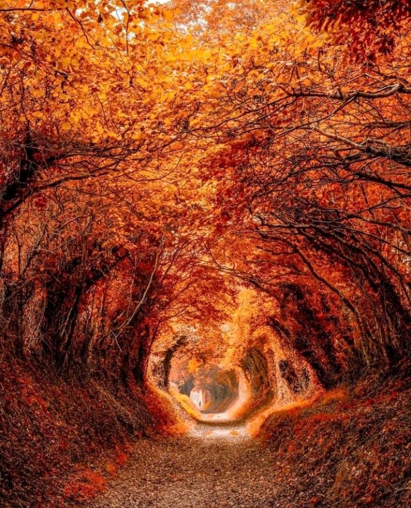 En attendre des jours meilleurs .