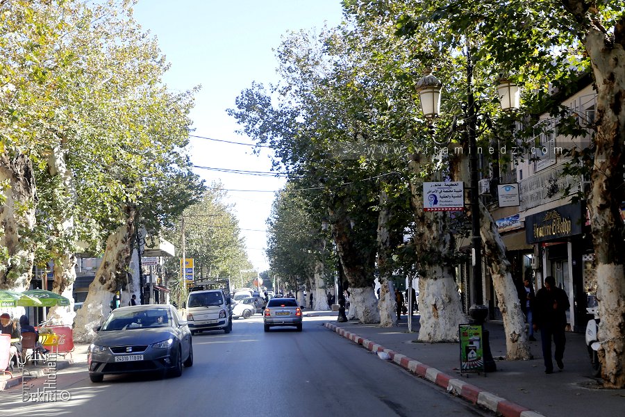 Rue des frères Bouza, Boufarik ex. Rue Duquesn