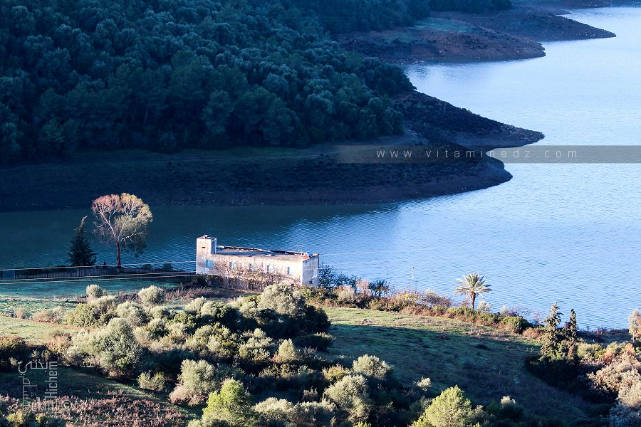 Ferme aux abords du Barrage d'El Hamiz (Boumerdes)