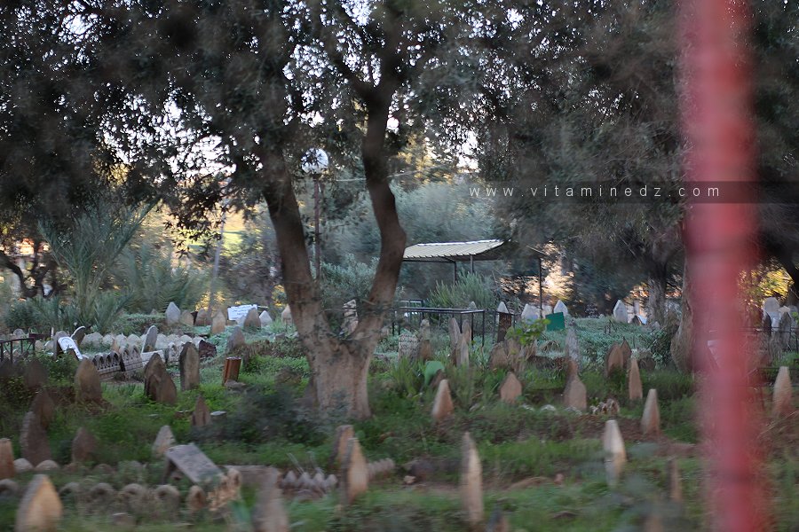Cimetière Boudribila à Khemis El Khechna