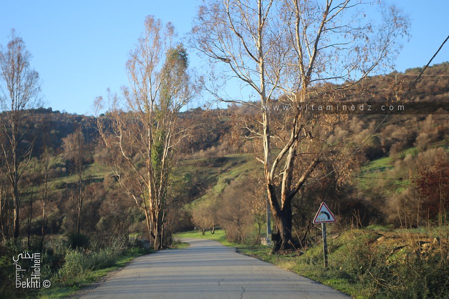 Champs agricoles et nature à la sortie de Khemis El Khechna