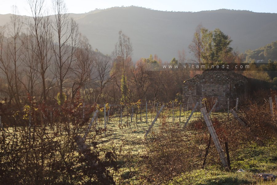 Vieille ferme à la sortie de Khemis El Khechna (Foundouk)