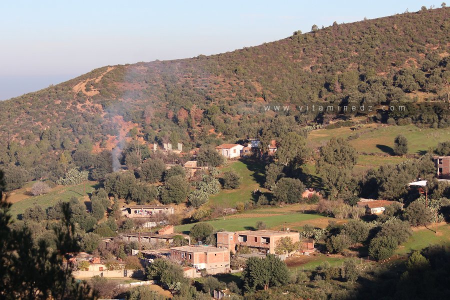 Village Mhamdia (Commune de Labartache) قرية المحامدية (بلدية الأربعطاش)
