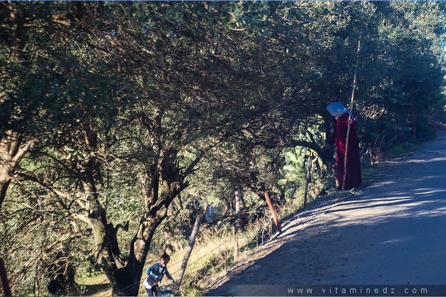 Poème dédié aux grand mères !