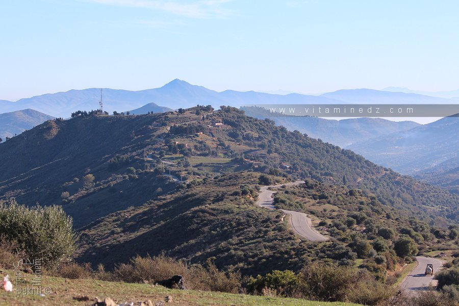 Douar Dzhereda ضزهيريدا ? Nom inscrit sur Google Maps