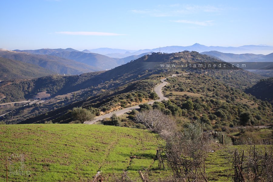 El Kharrouba (الخروبة en arabe )