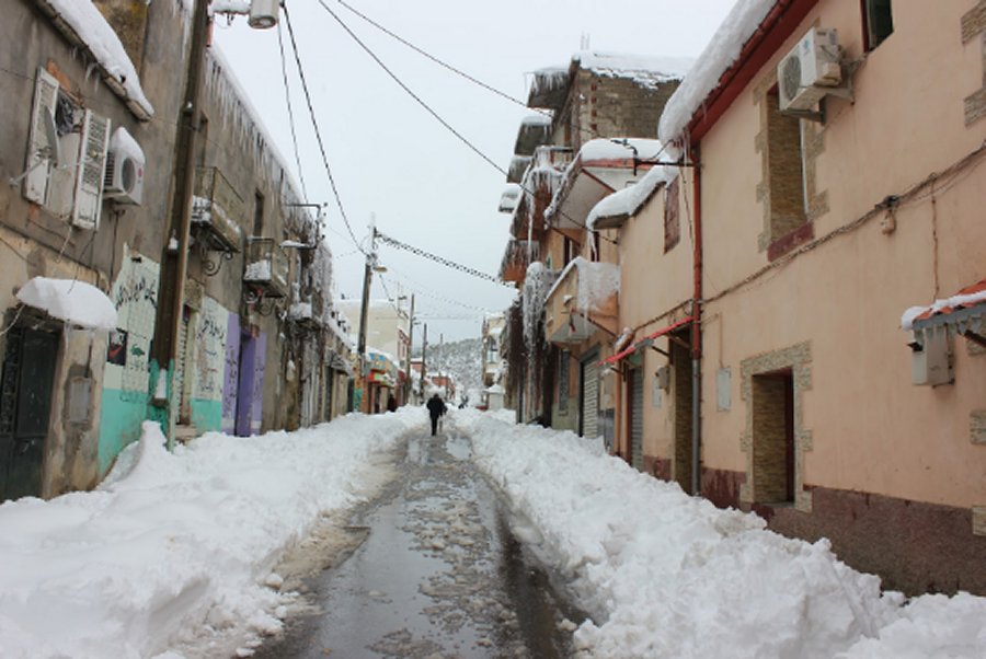 صورة من عين عباسة