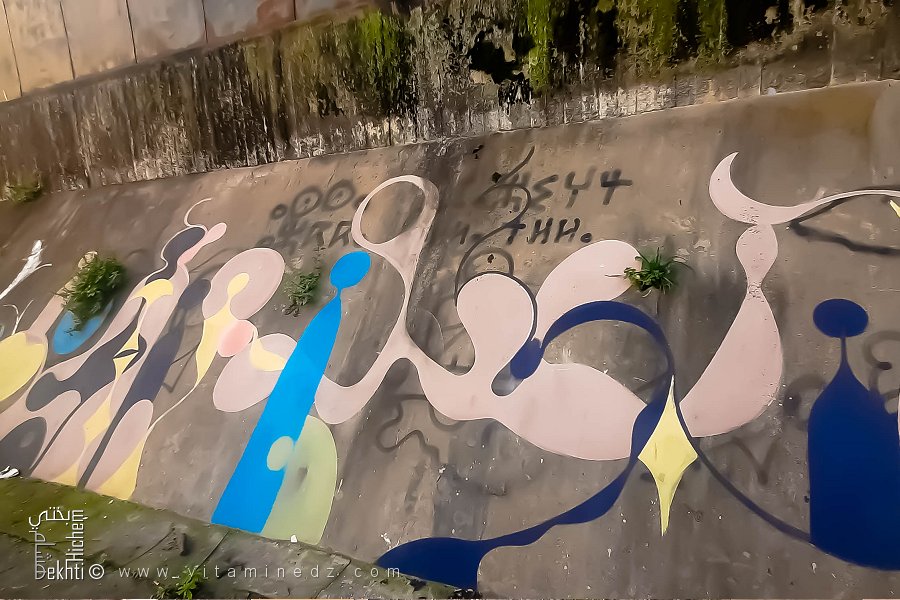 Graffiti sur un Mur d'Alger
