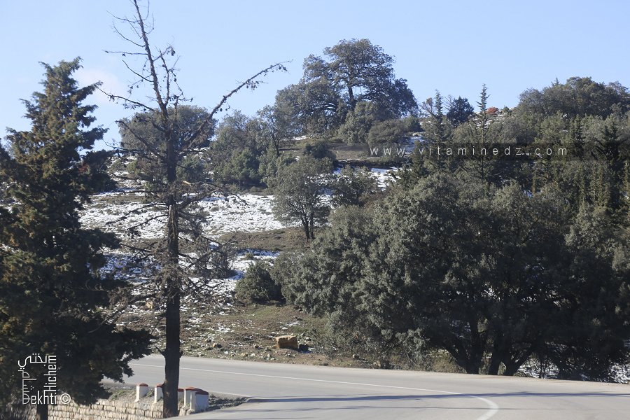 Sur la route de Terny (Tlemcen) lègère couche de neige