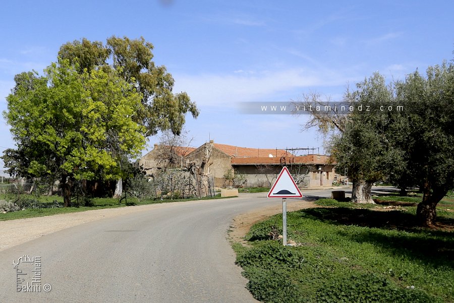 Route vers Taslit et El Alouia (Commune de Sidi Abdelli)