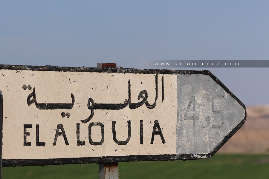 Village d'El Alouia (Commune de Sidi Abdelli)