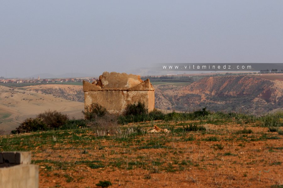 Un saint à l'entrée d'El Alouia : Sidi zekraoui ?