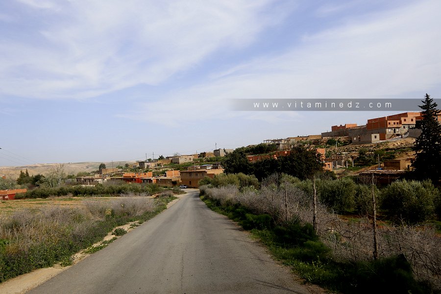 Village d'El Alouia (Commune de Sidi Abdelli)