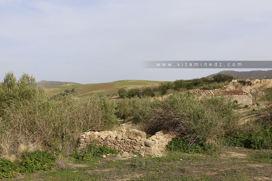Hawita à Douar ouled Belhadj