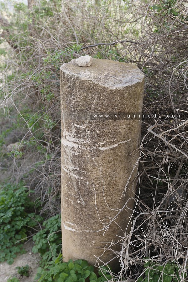 Colonne à Ksar Hannoun