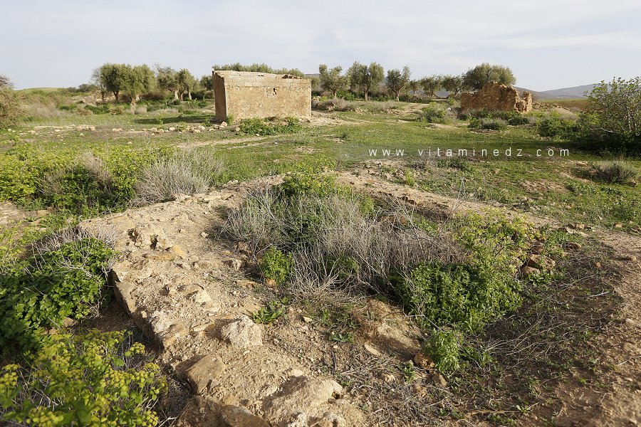 Restes d'une tour à Ksar Hanoun