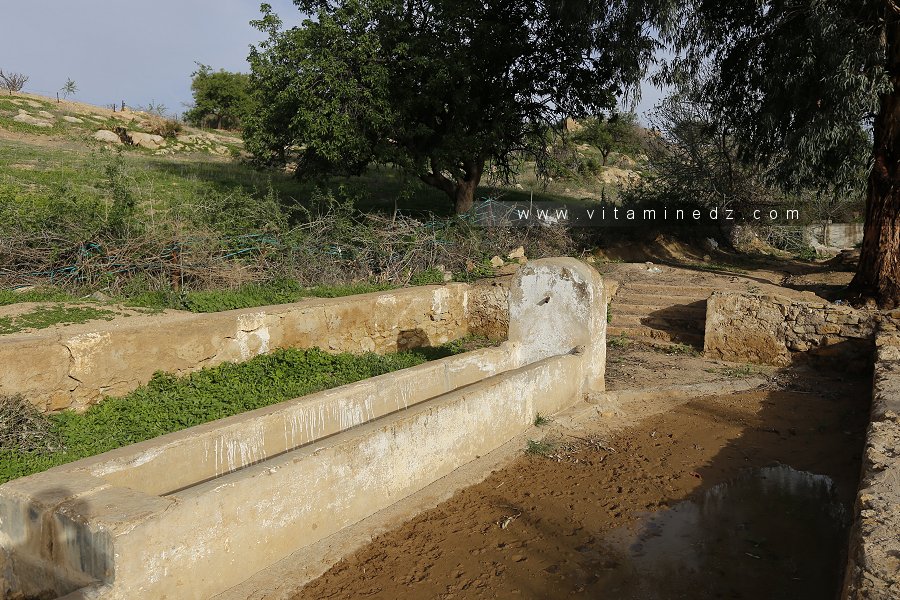 Ain Ksar Hanoun (douar Ouled Belhadj)