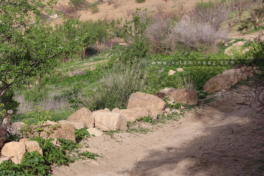 Pierres issues de Ksar Hannoun