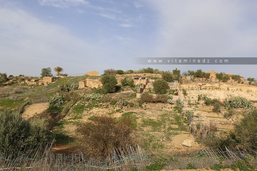 Douar Ouled Belhadj (Amieur)