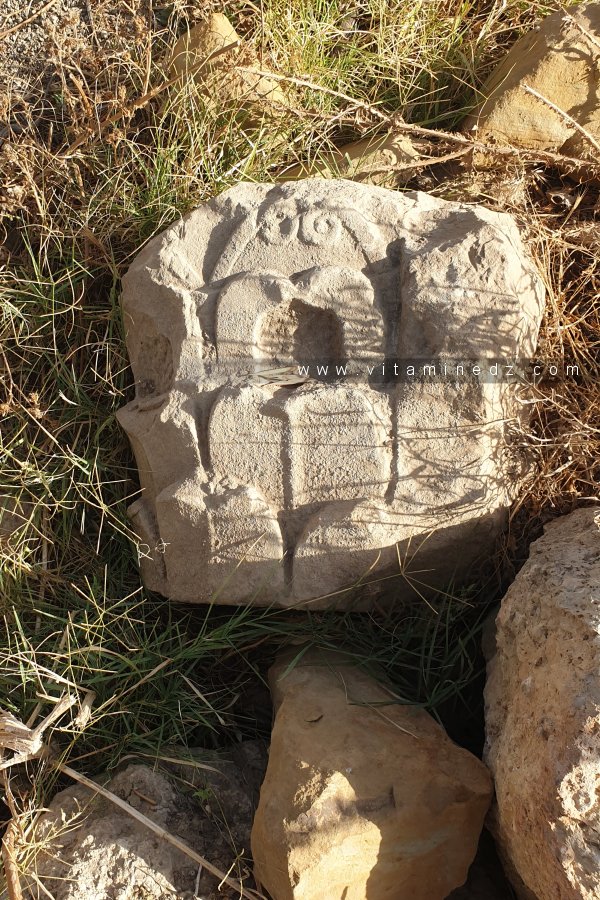 Frises décoratives d'une colonne, issue des vestiges de Ksar Hannoun