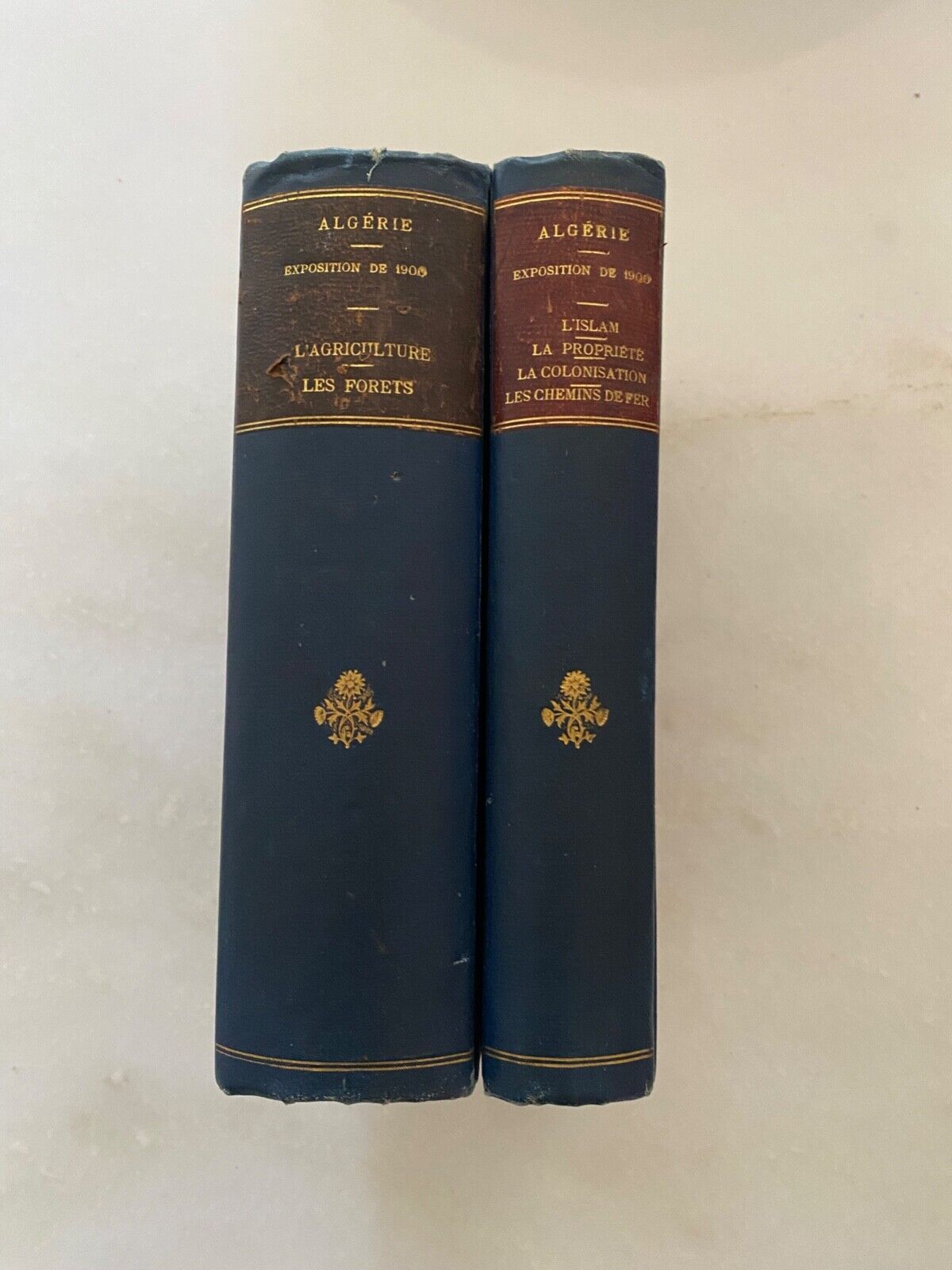 Rare livres sur la situation de l'ALGERIE exposition de 1900.