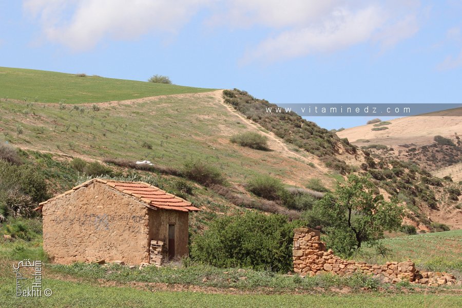 Petite maisonette au Douar Maafat Commune d'El Fehoul