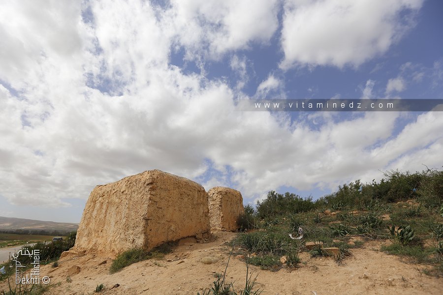 سيدي علي دونان بالفحول