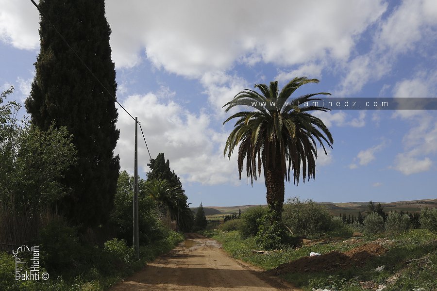 Domaines d'El fehoul