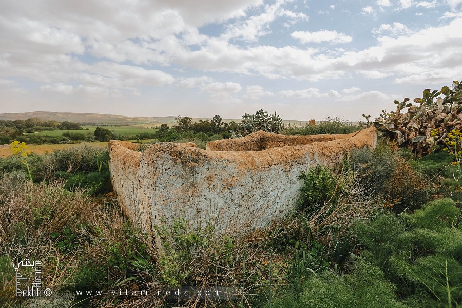 Hawita N°01 au cimetière Sidi Al Izz