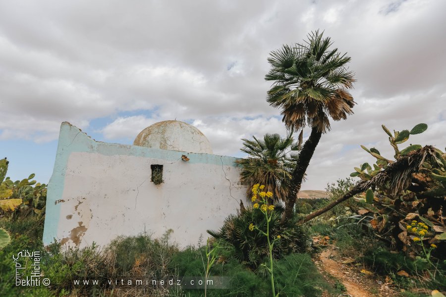 Darih (marabout) Sidi El Izz à El Fehoul ضريح سيدي العز بالفحول