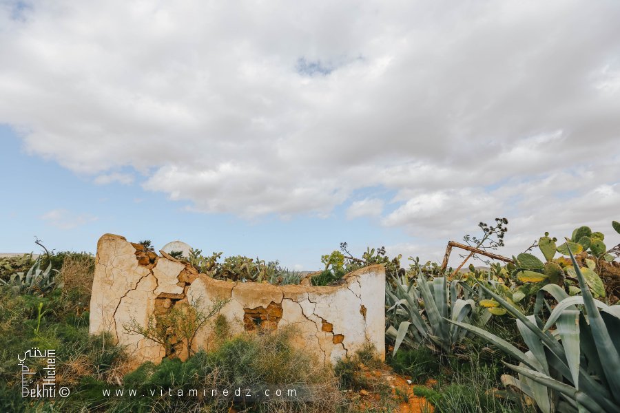 Hawita N°02 au cimetière Sidi Eleuz à El Fehoul