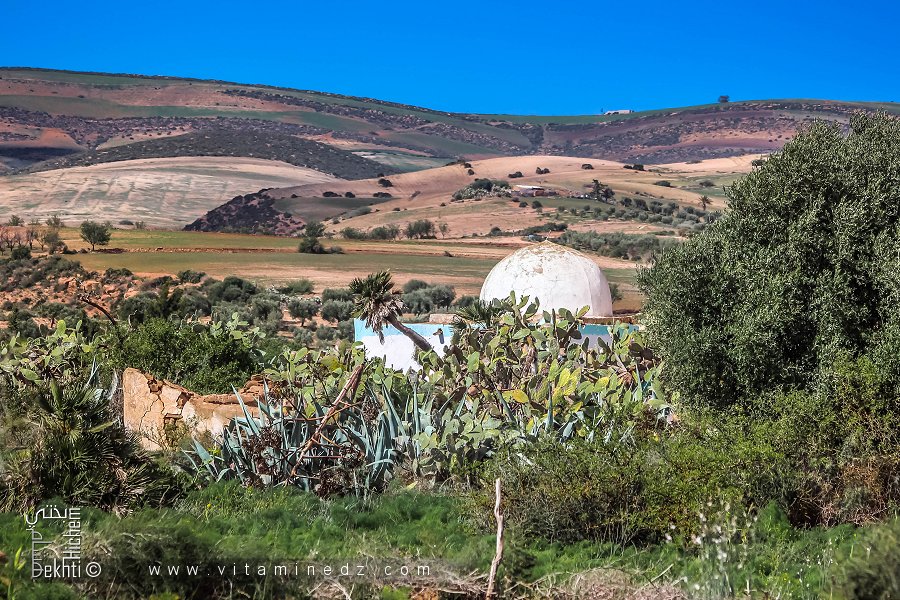 ضريح الولي الصالح سيدي العز، بدار الصومعة الفحول