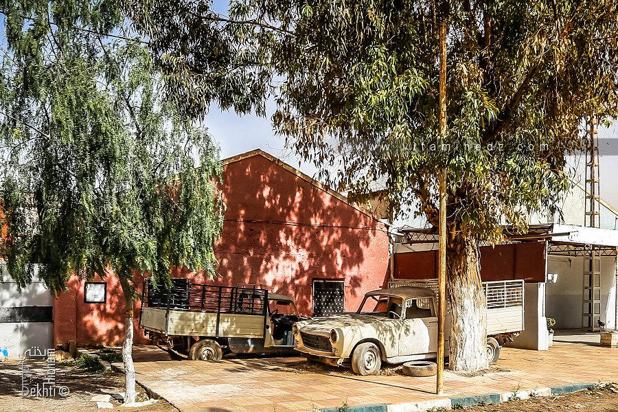 Ain youcef (Tlemcen) ses 404, ses eucalyptus ...