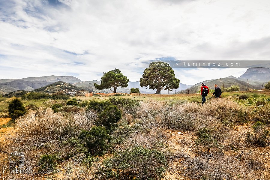 الموقع الأثري بهنين دار الإمام