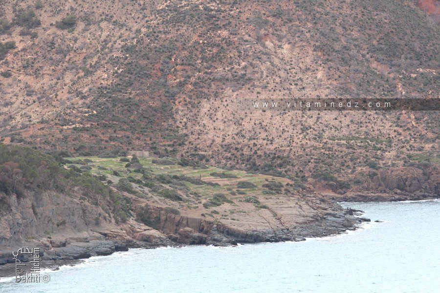 Petite parcelle de terre des Ouled Salah en bord de Mer