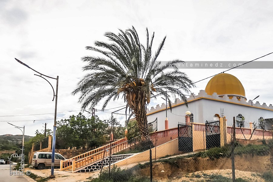 Mosquée du village Ouled Sidi Chikh (Honaïne)