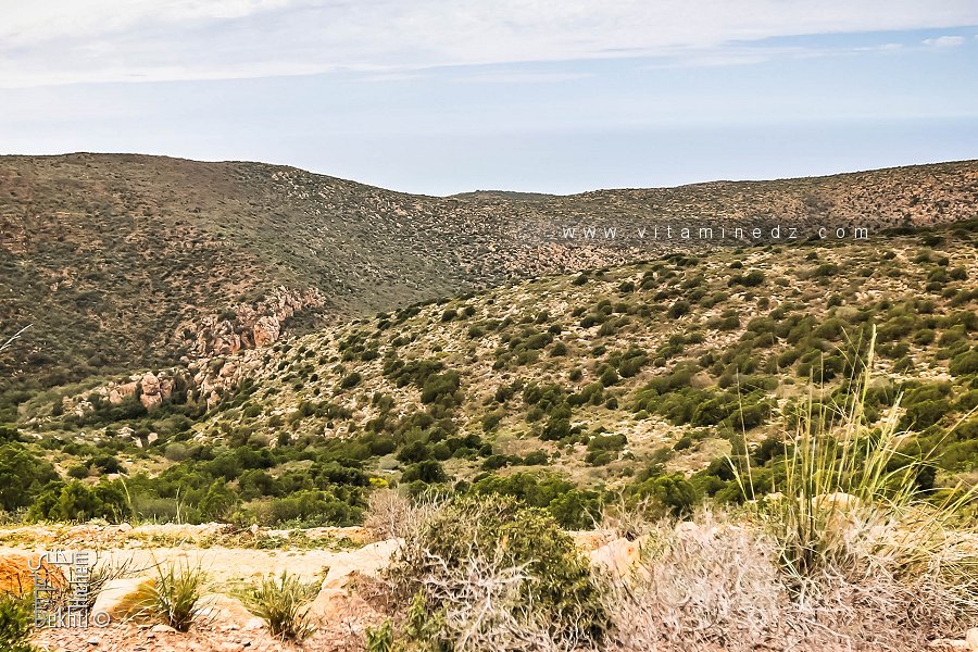 Oued El Kiama menant vers une petite crique